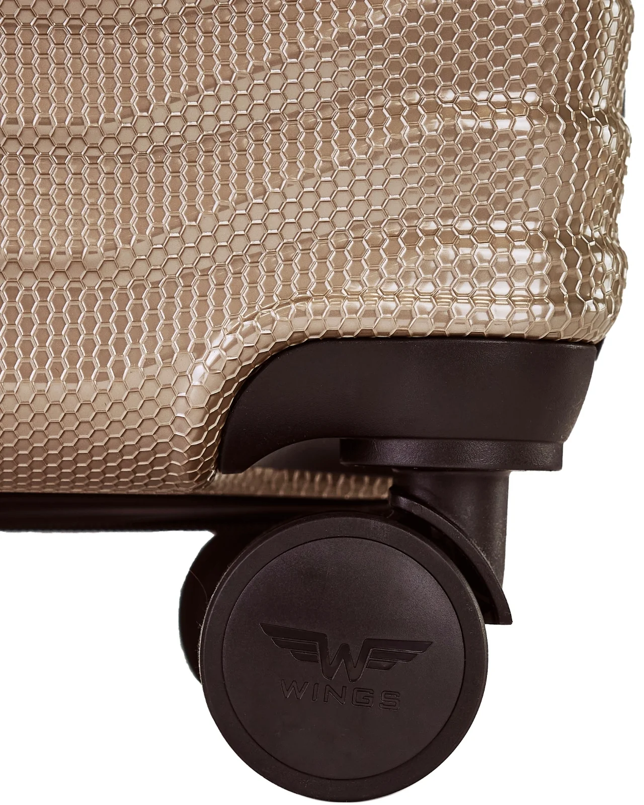 PC141-CHAMPAGNE-KOLKO